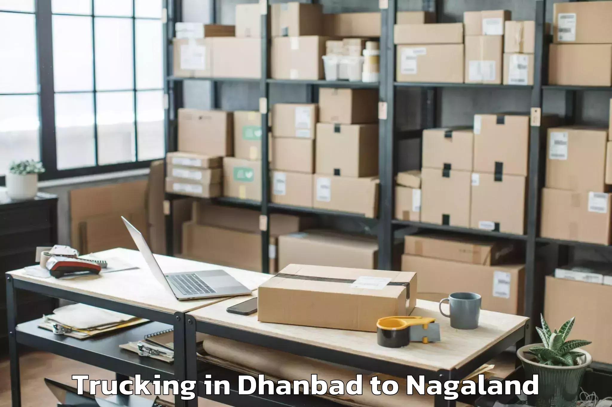 Book Your Dhanbad to Khezhakeno Trucking Today